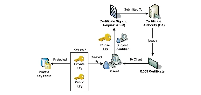 Network Exploitation Multitool (Part 2)